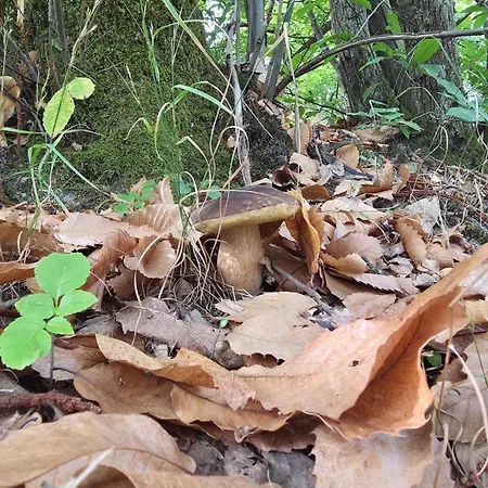 La Casetta Sul Fiume