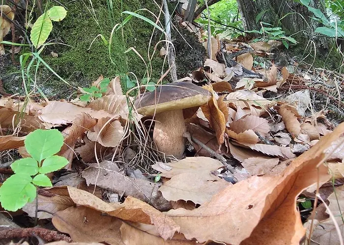La Casetta Sul Fiume